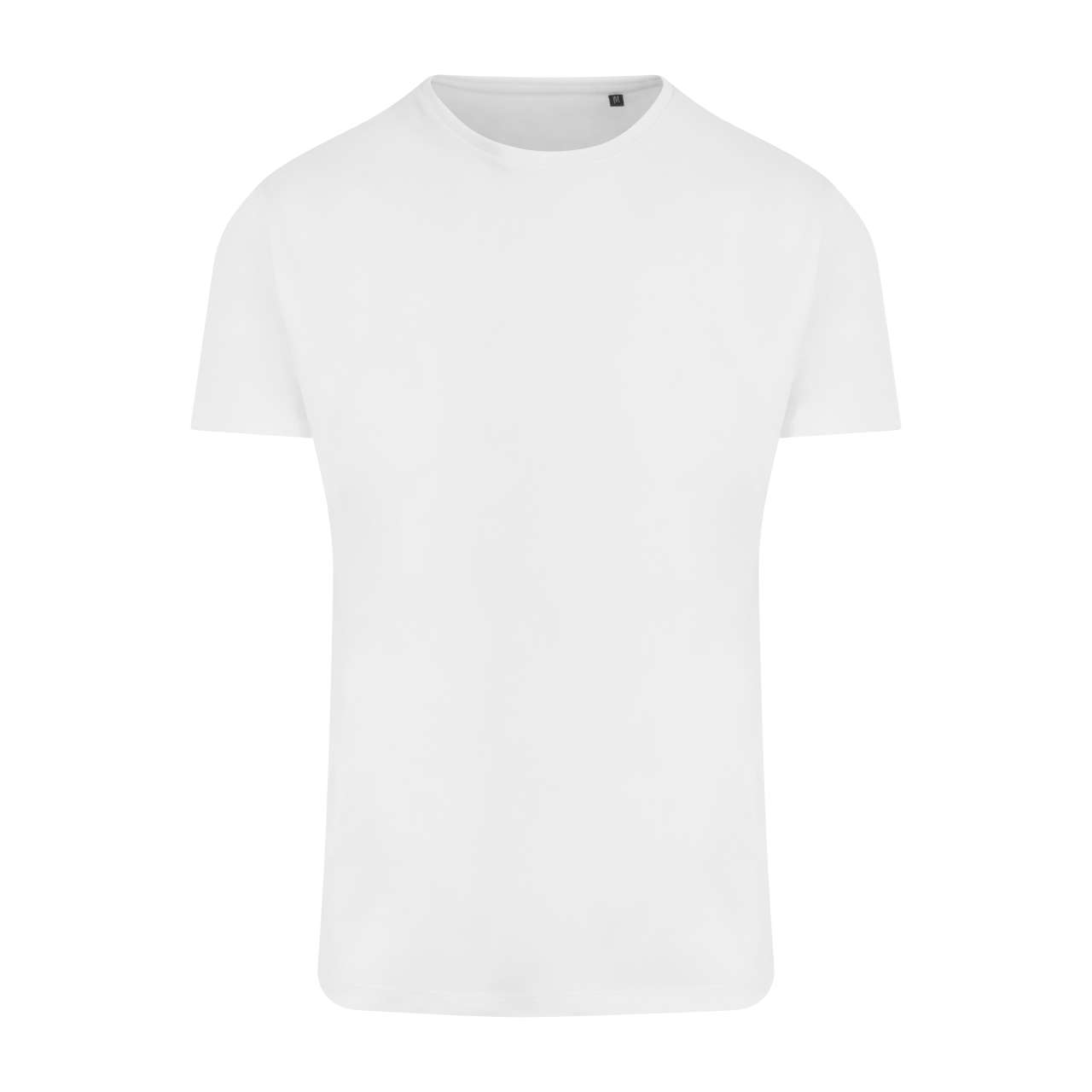 Arctic White