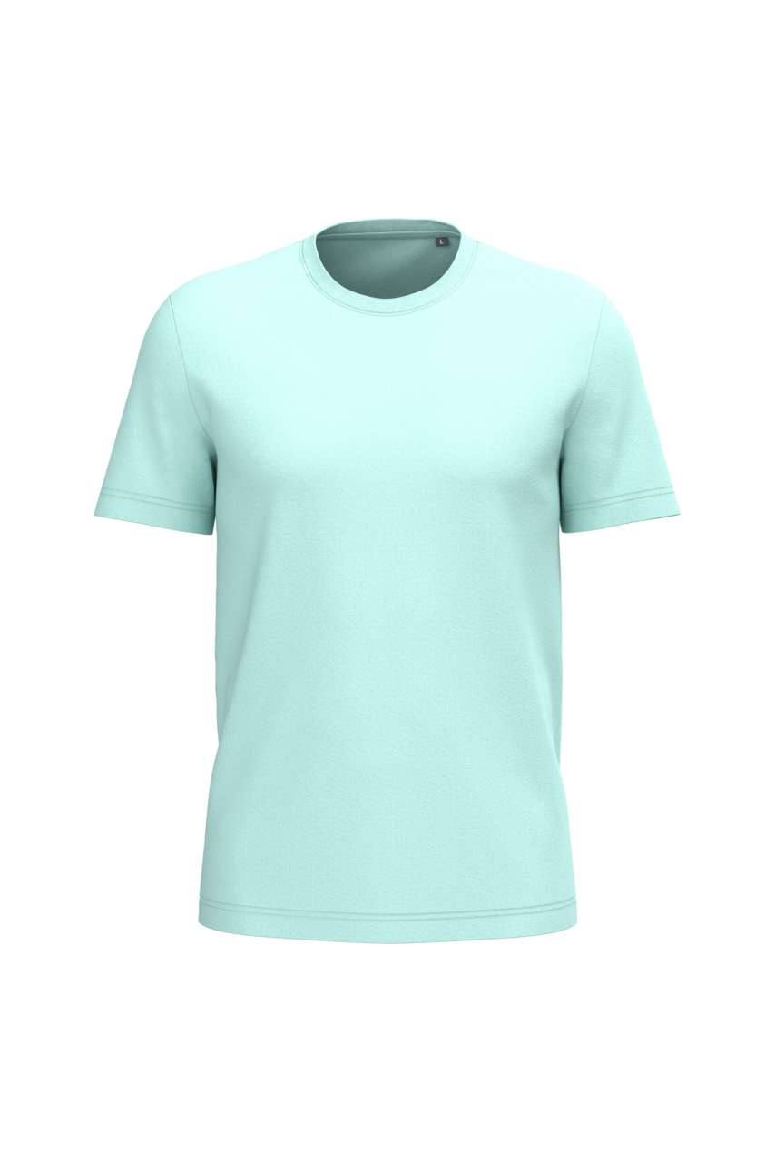 Ice Mint