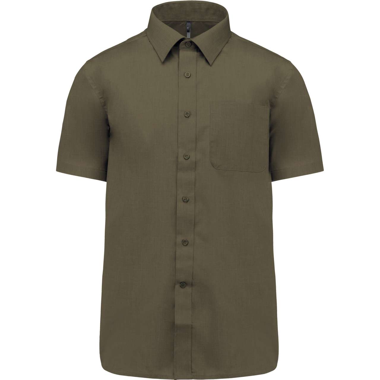 Light Khaki